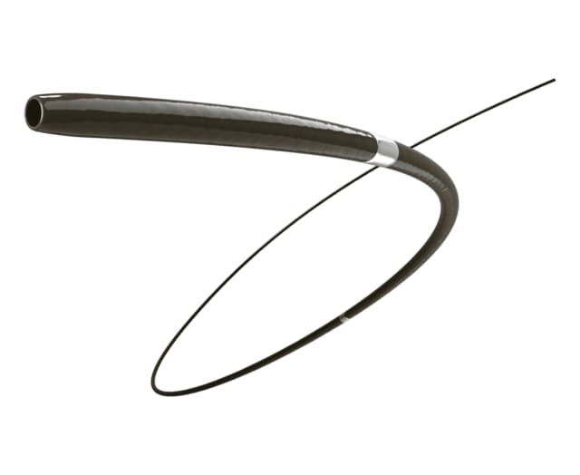 DolphinPro Support Catheter — support catheter