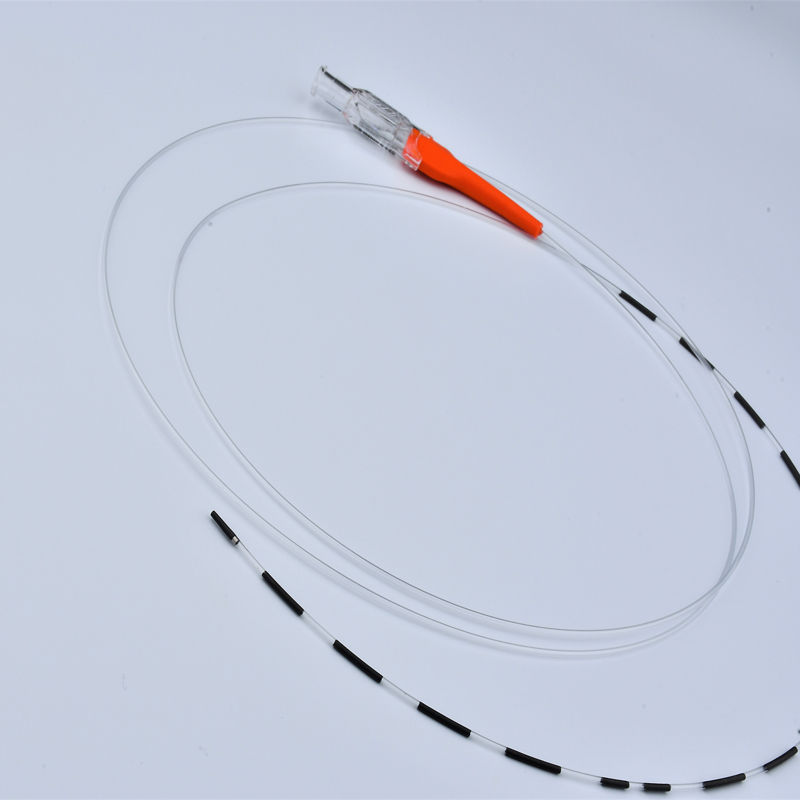 DolphinZebra Crossing Support Catheter-3