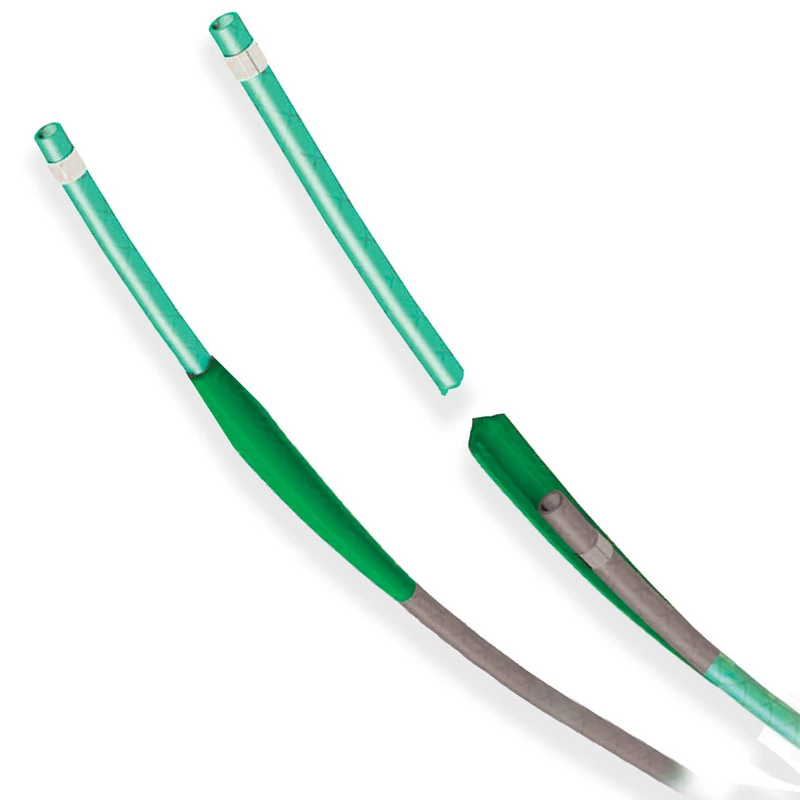 Pars Libro Delivery Catheter-1